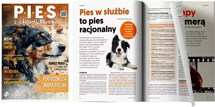 Pies z charakterem