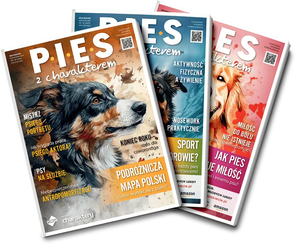 Pies z charakterem
